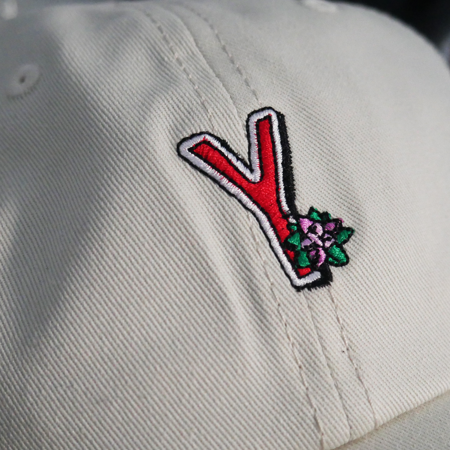 Varsity 'Y' Hat